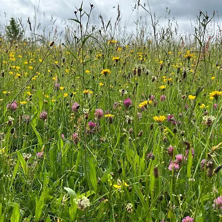 Lenneplaetze 3* Βίντερμπεργκ