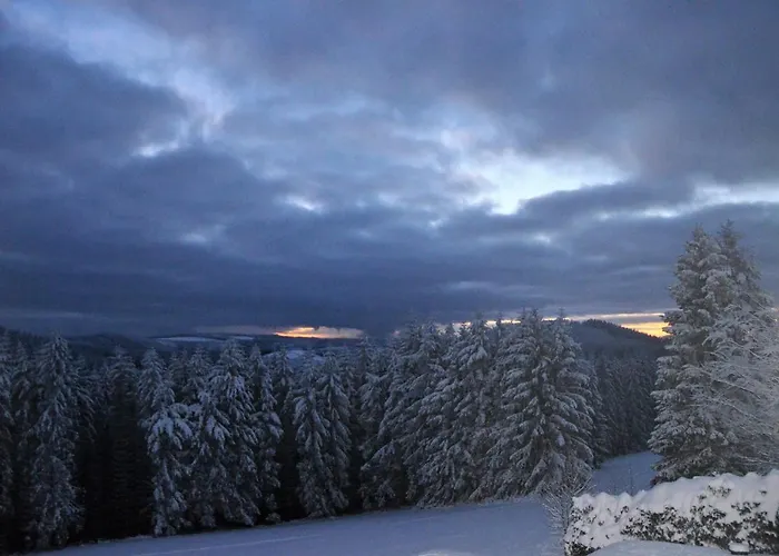 Hotel Lenneplaetze 3*