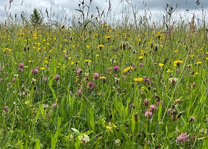 Lenneplaetze 3* Winterberg