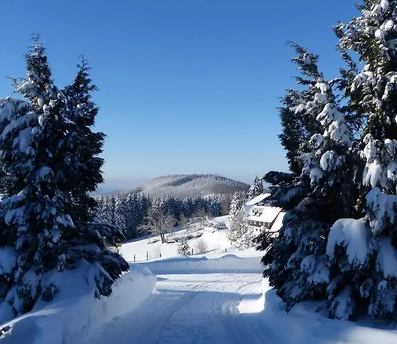 Hotell Lenneplaetze 3*